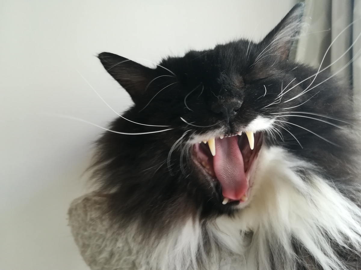 f:id:utanutan1096:20211014090504j:plain