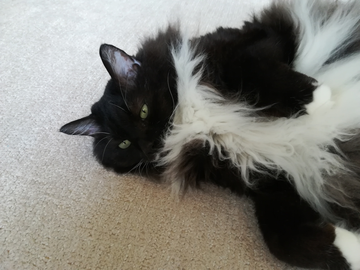 f:id:utanutan1096:20211016144150j:plain