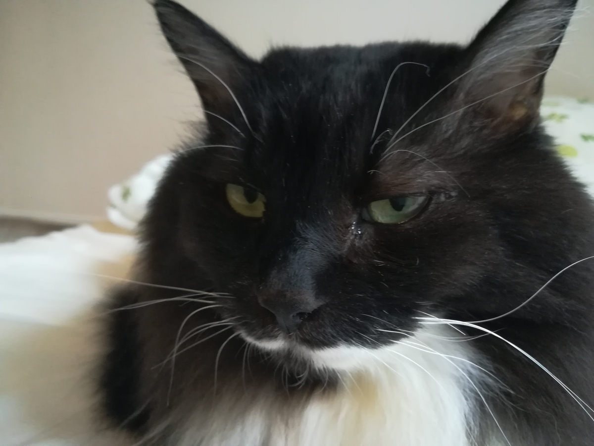 f:id:utanutan1096:20211021130028j:plain