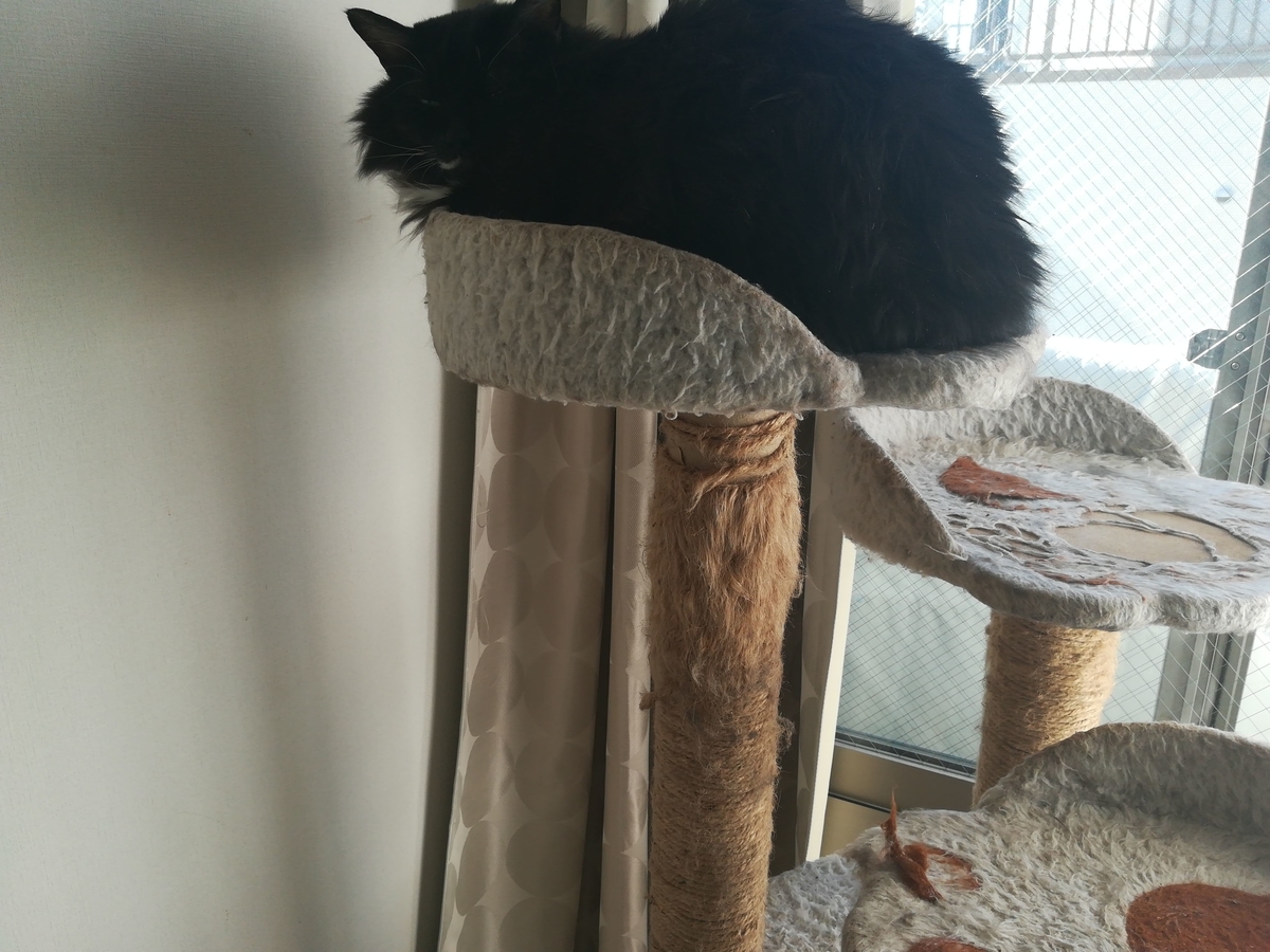 f:id:utanutan1096:20211030155310j:plain