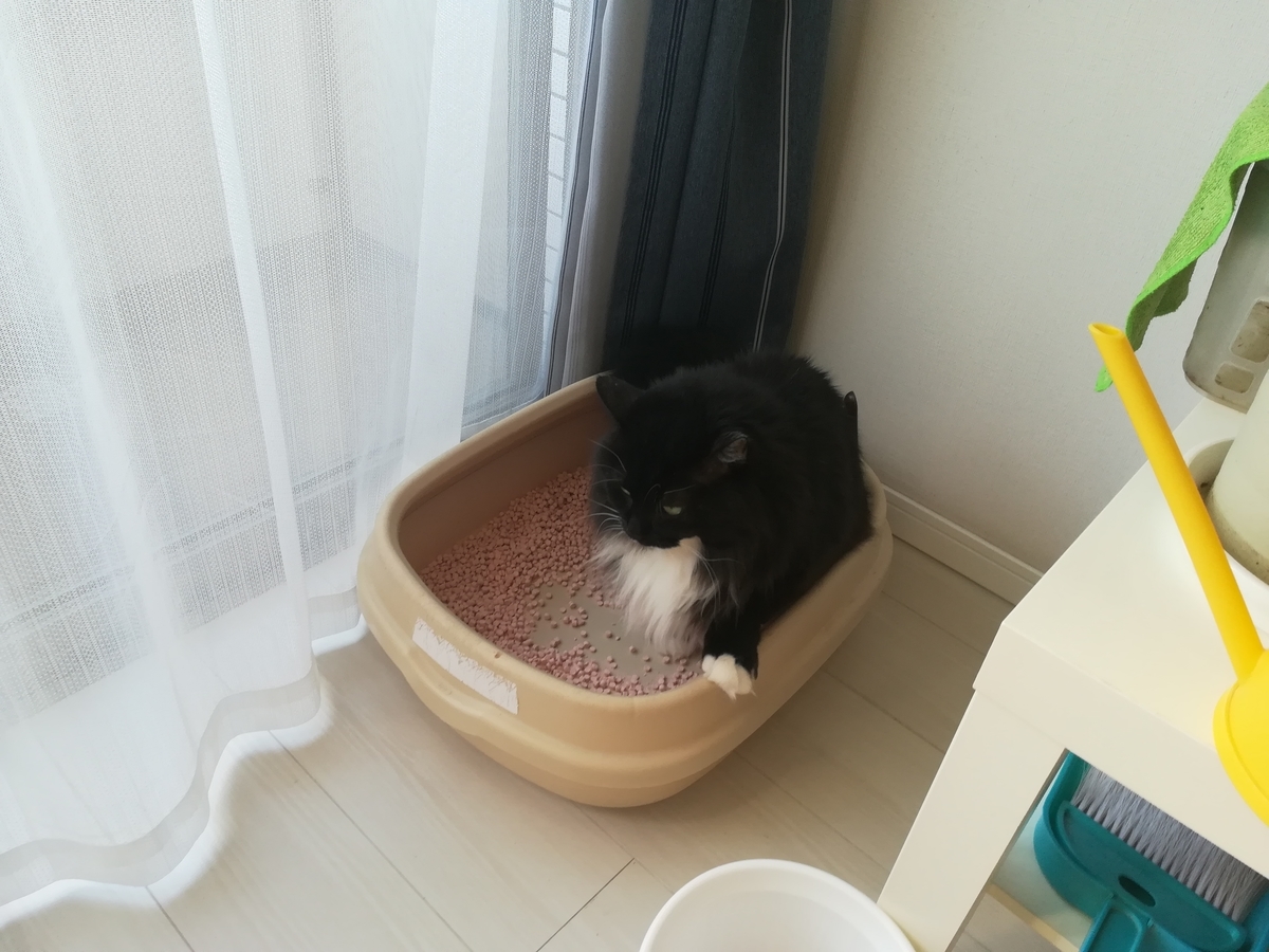 f:id:utanutan1096:20211030155532j:plain