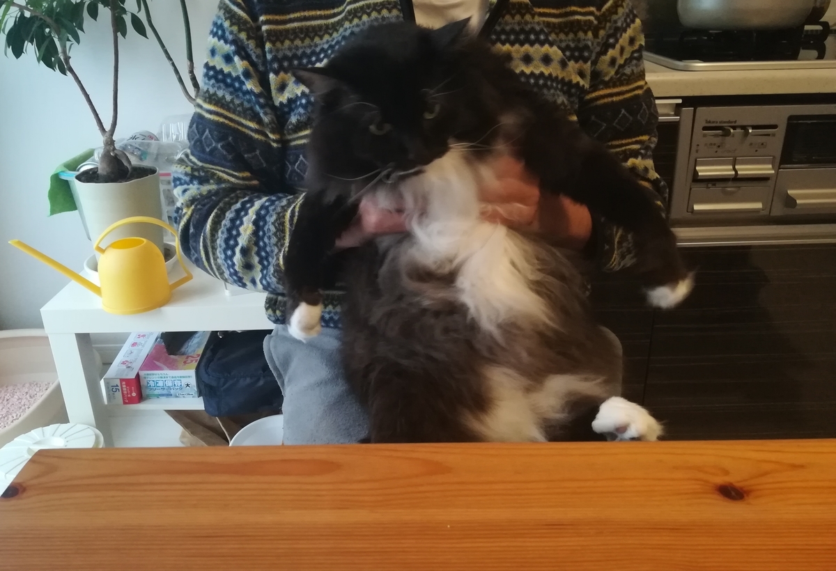 f:id:utanutan1096:20211030155702j:plain