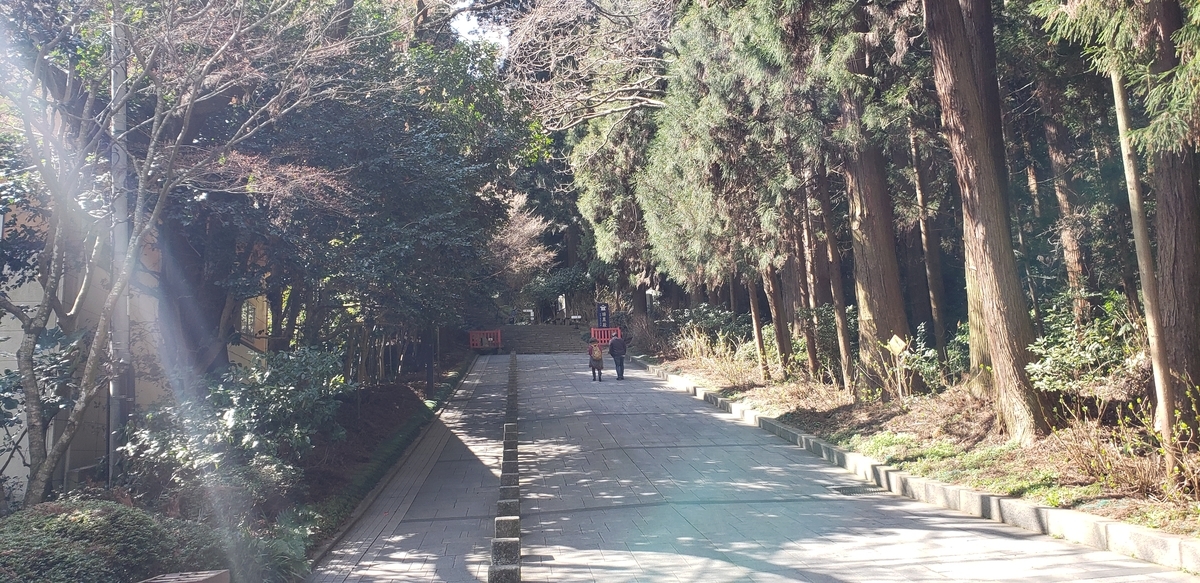f:id:utatane0910:20200419123801j:plain f:id:utatane0910:20200419123801j:plain
