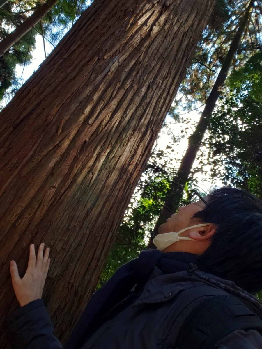 f:id:utatane0910:20200419124216j:plain f:id:utatane0910:20200419124216j:plain