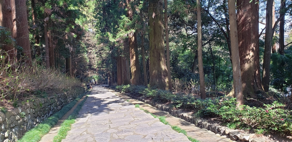 f:id:utatane0910:20200419124327j:plain f:id:utatane0910:20200419124327j:plain