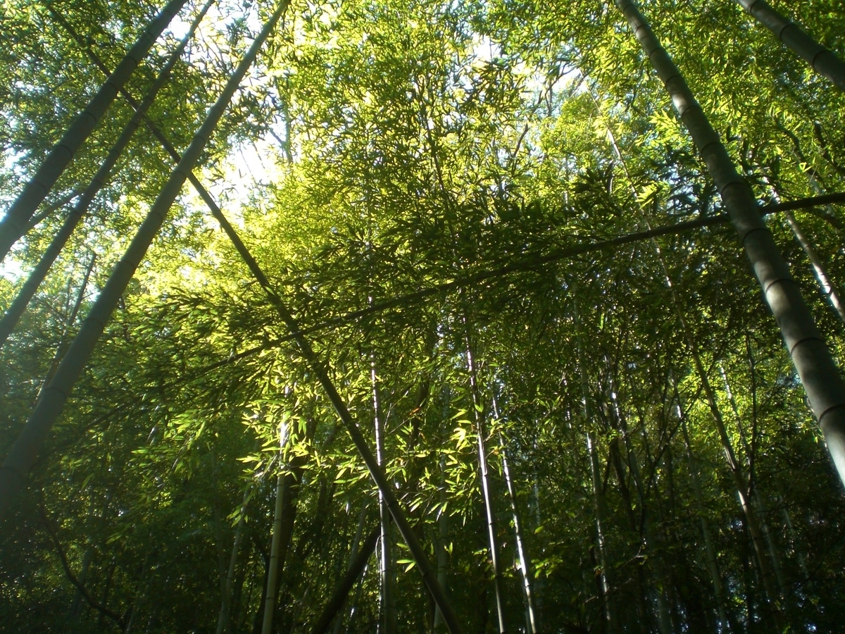 f:id:utatanenouenuchiko:20200518223231j:plain f:id:utatanenouenuchiko:20200518223231j:plain
