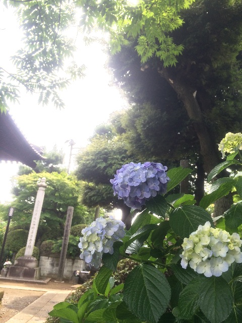 f:id:utautan:20150614160838j:image f:id:utautan:20150614160838j:image