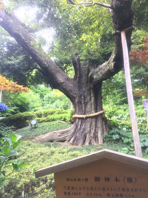 f:id:utautan:20150614161123j:image f:id:utautan:20150614161123j:image