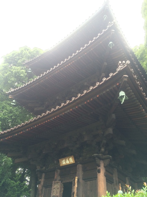 f:id:utautan:20150614161202j:image f:id:utautan:20150614161202j:image