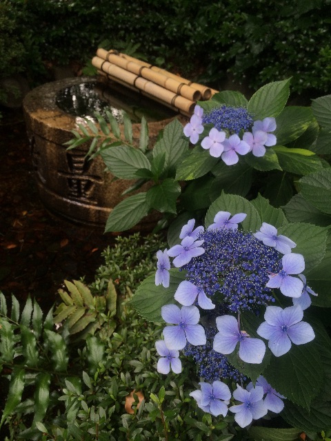 f:id:utautan:20150614161212j:image f:id:utautan:20150614161212j:image