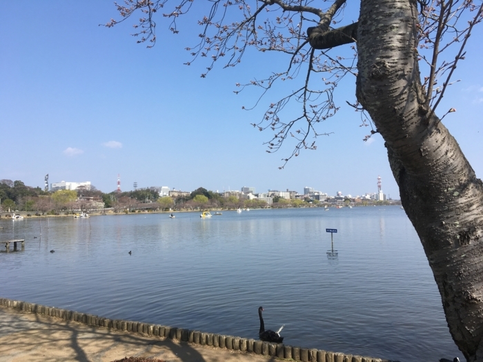 f:id:utautan:20180522081159j:plain