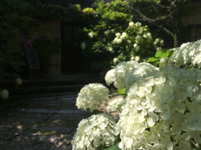 f:id:utautan:20180704103202j:plain