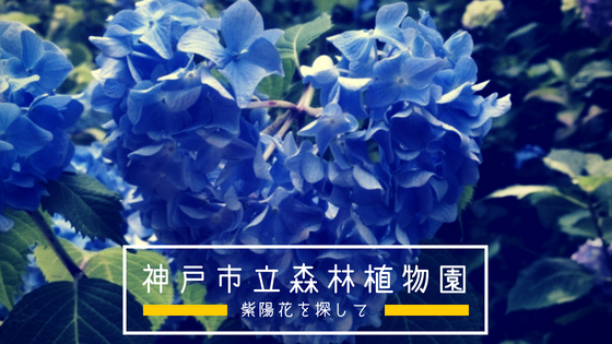 f:id:utautan:20180715145954p:plain