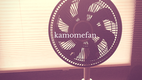 高級dcモーター扇風機 Kamomefan カモメファン レビュー 最高です Try Something New