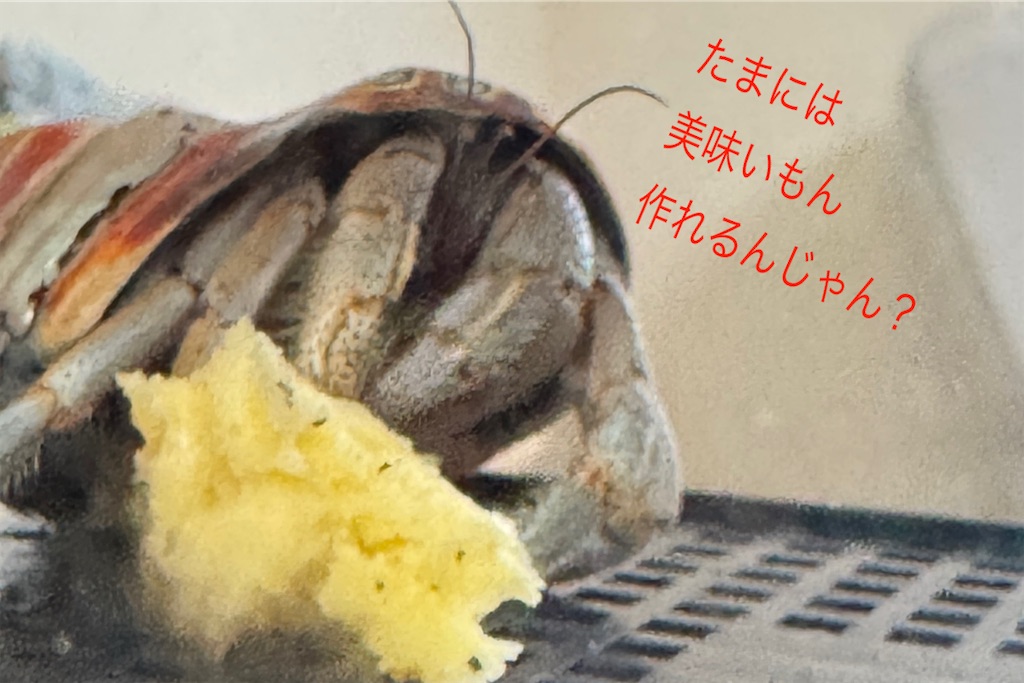 f:id:utenaluce:20260602182254j:image f:id:utenaluce:20260602182254j:image