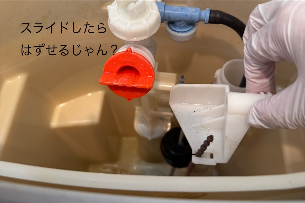 f:id:utenaluce:20260629180417j:image f:id:utenaluce:20260629180417j:image