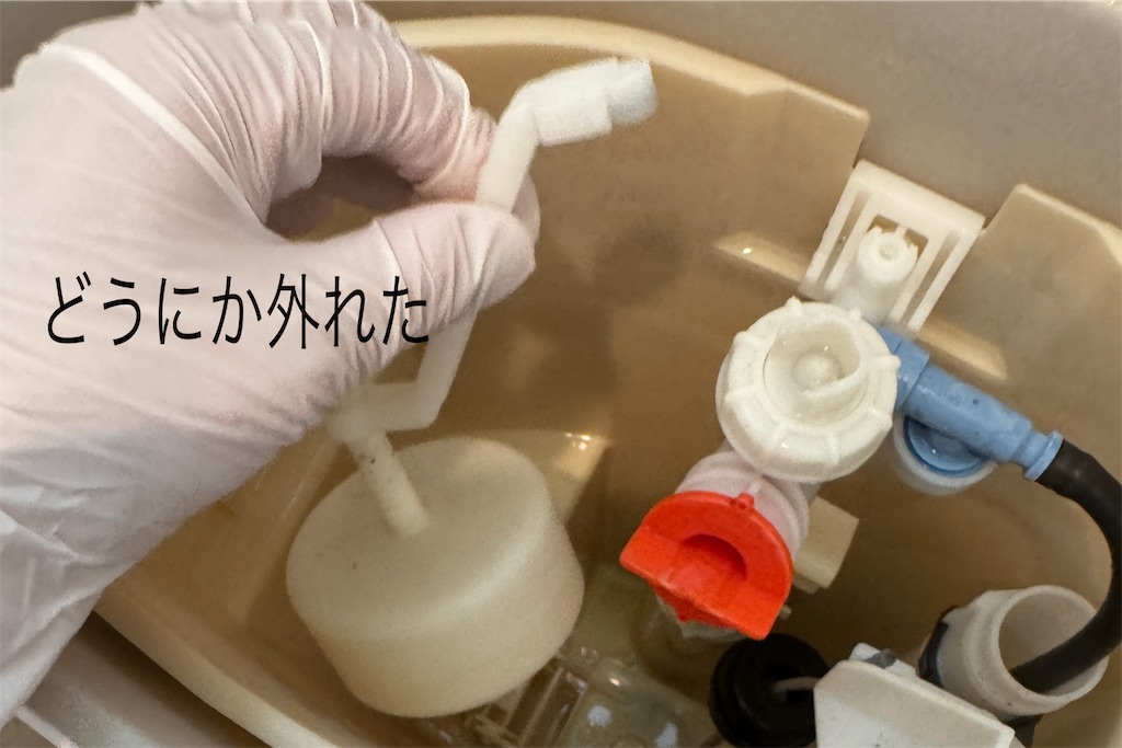 f:id:utenaluce:20260629180420j:image f:id:utenaluce:20260629180420j:image