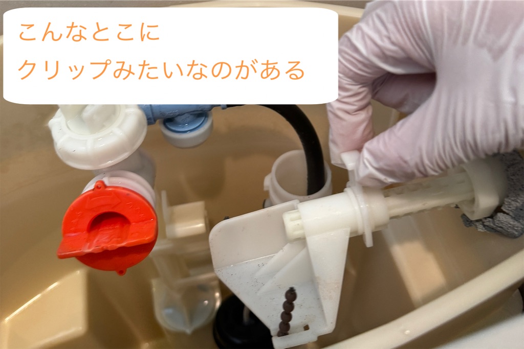 f:id:utenaluce:20260629180434j:image f:id:utenaluce:20260629180434j:image