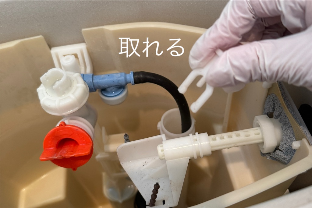 f:id:utenaluce:20260629180443j:image f:id:utenaluce:20260629180443j:image