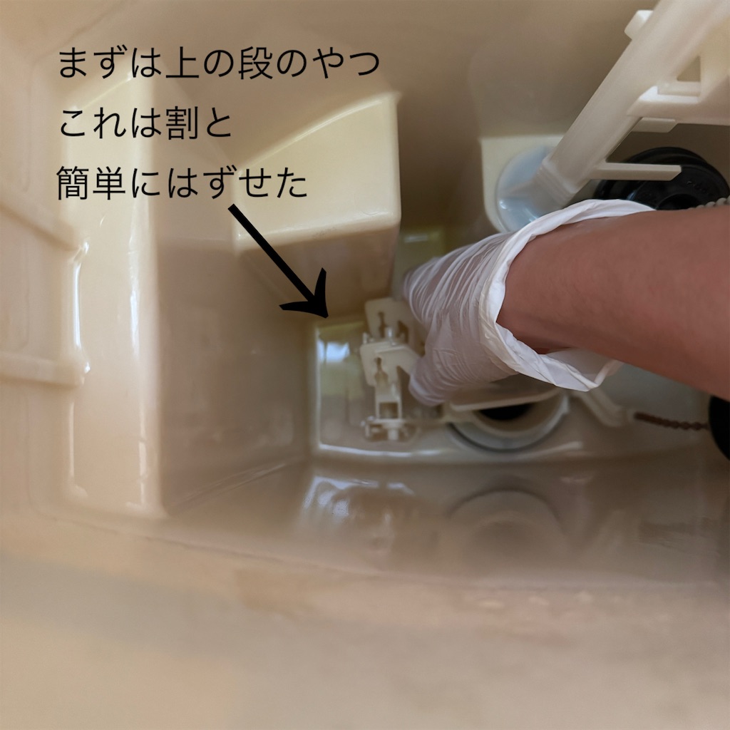 f:id:utenaluce:20260629180447j:image f:id:utenaluce:20260629180447j:image