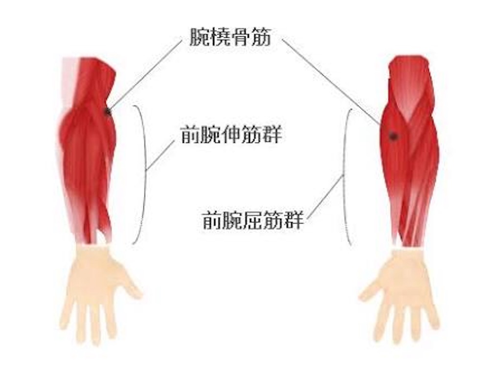 腕フェチ女性をキュン死させる破壊力 知らなきゃ損 忘れられがちな モテたい方必見10週間で憧れの細マッチョになり毎週美女とデートができる最強プログラム