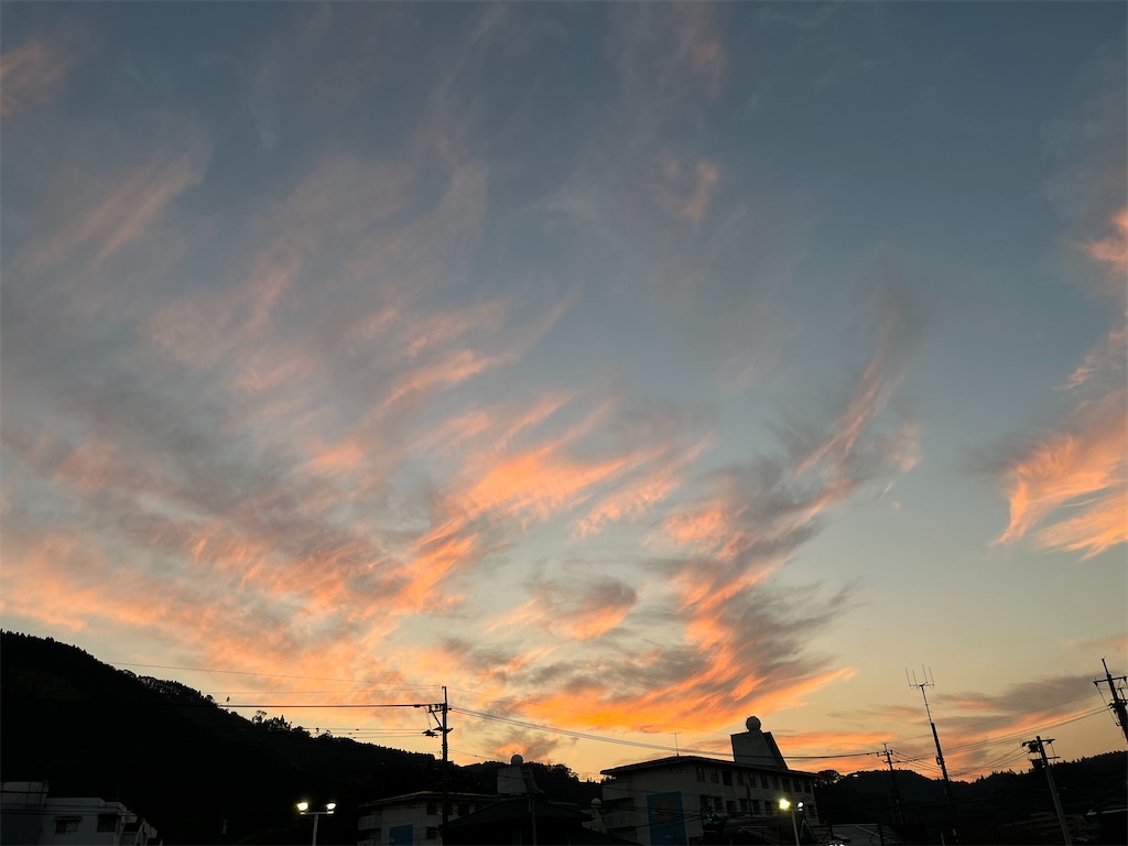 f:id:uthinantyuyukariko:20221110144901j:image f:id:uthinantyuyukariko:20221110144901j:image