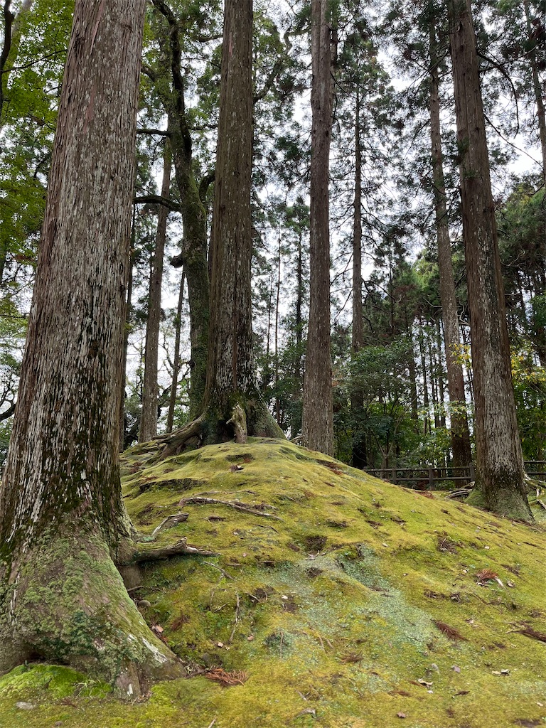 f:id:uthinantyuyukariko:20221207155120j:image