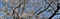 20210323080330