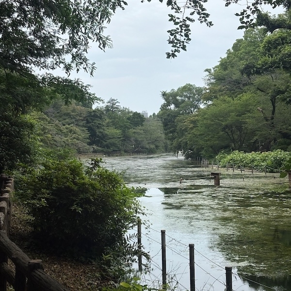 井の頭公園