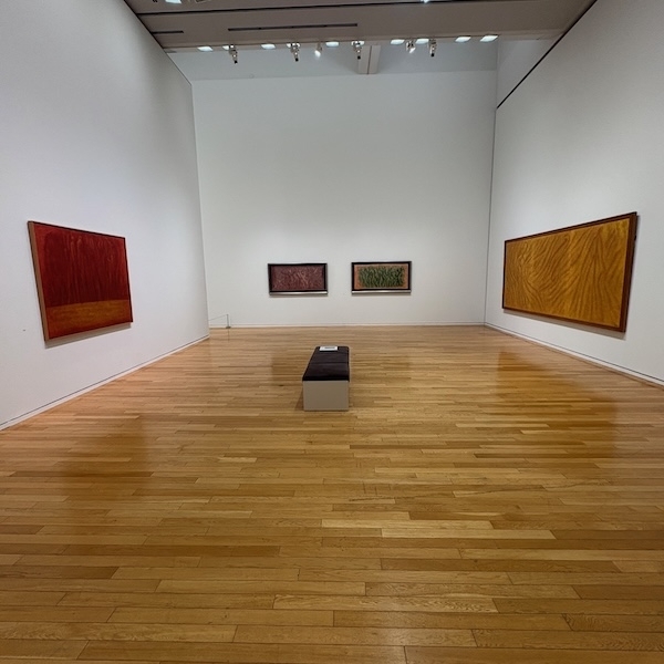 展示の様子、5