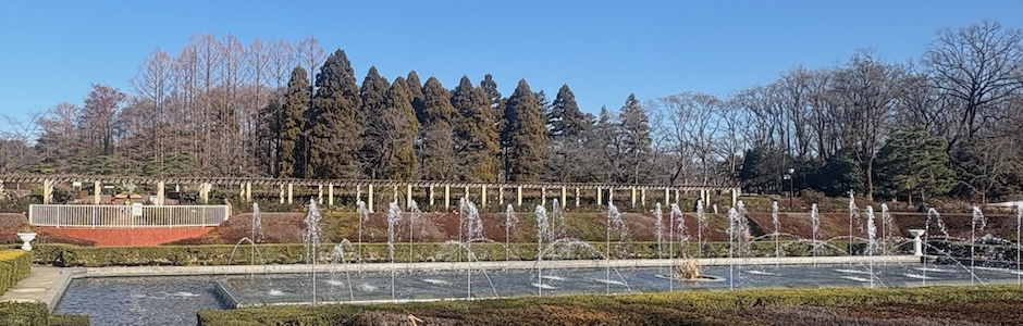 神代植物公園の噴水