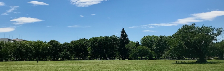武蔵野中央公園