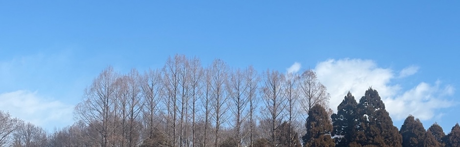 晩冬の神代植物公園の空