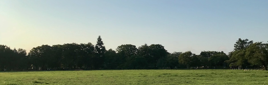 武蔵野中央公園