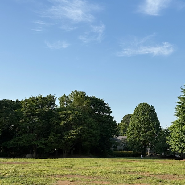 朝の公園