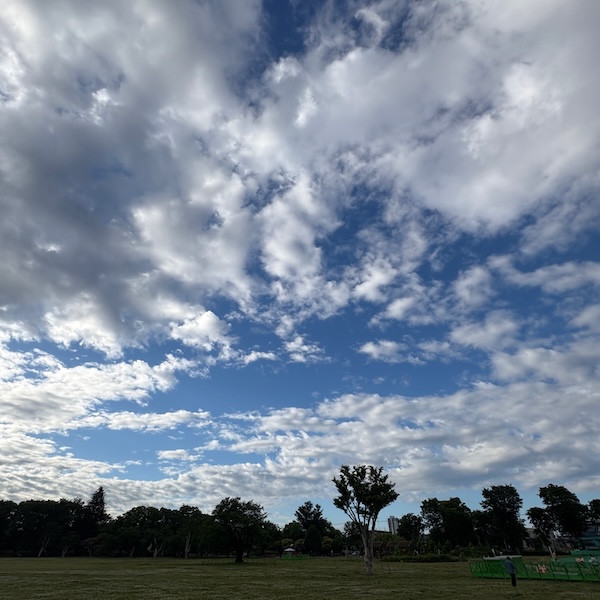 朝の公園