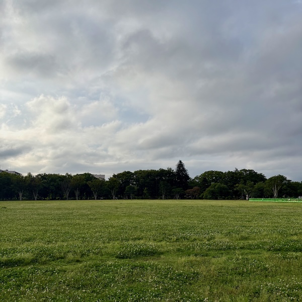 中央公園の朝の空