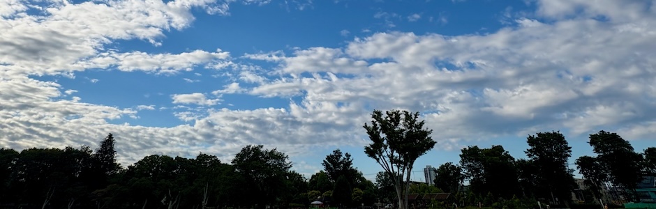 青空と雑木林