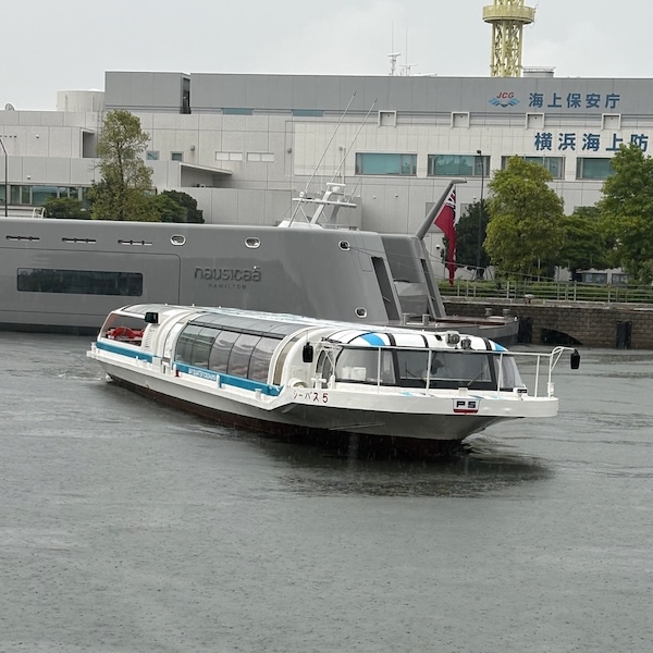 シーバス