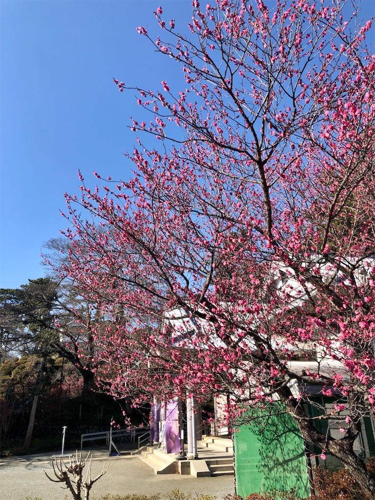 f:id:utomoaki:20230203144735j:image