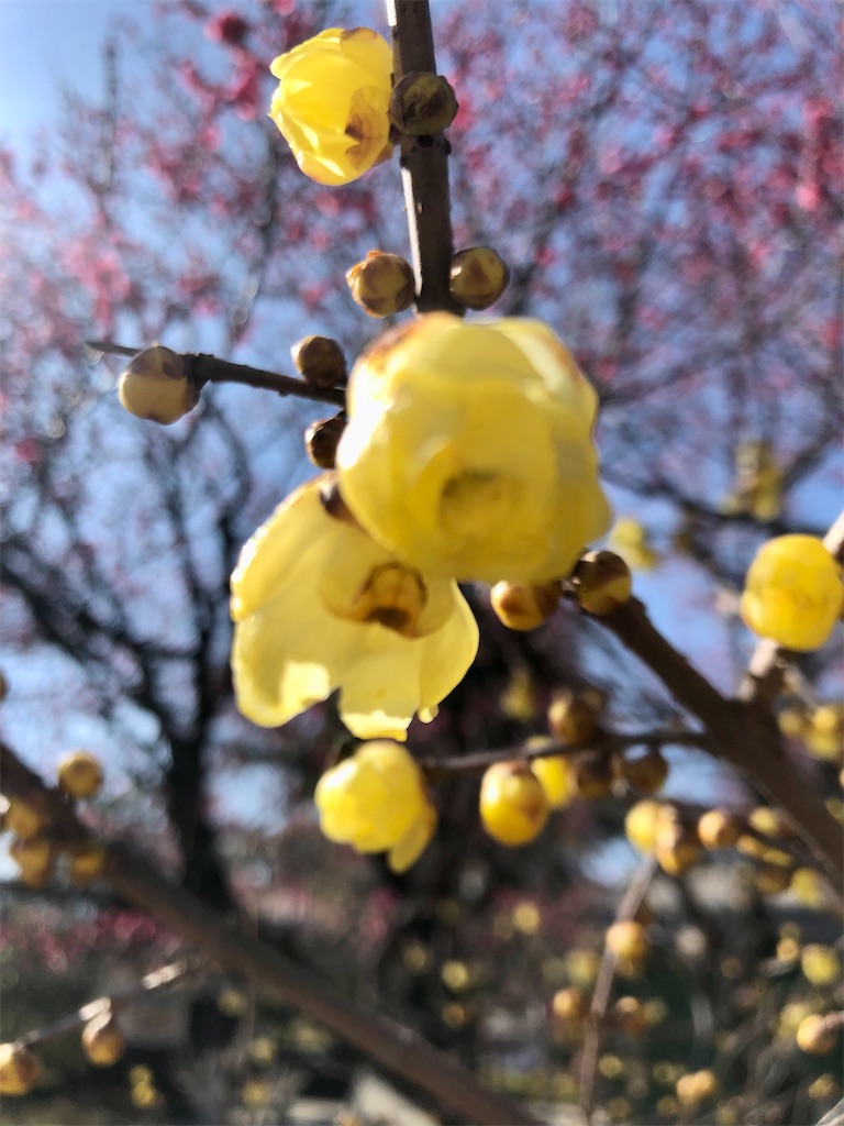 f:id:utomoaki:20230203145225j:image