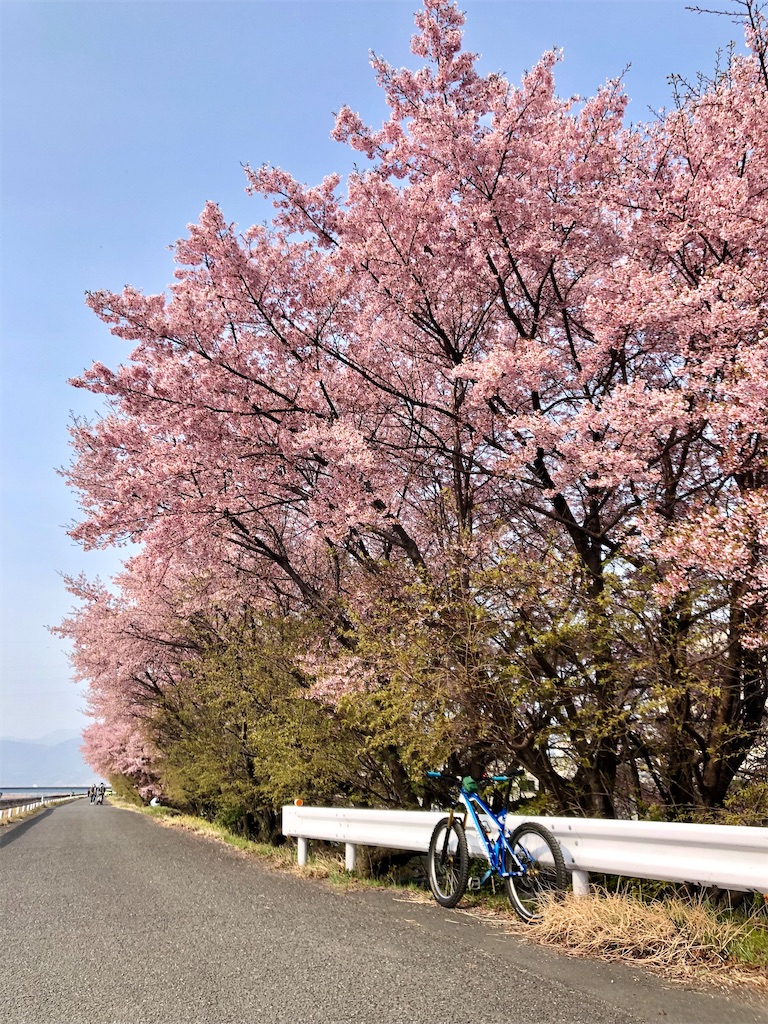 f:id:utomoaki:20230313182600j:image