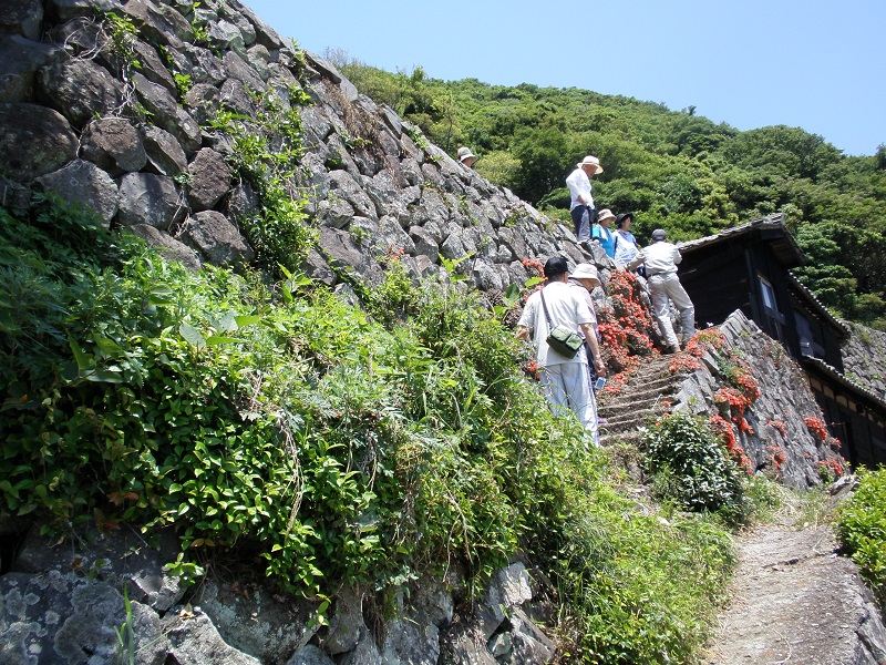 f:id:utonoume:20150525121032j:image:w270 f:id:utonoume:20150525121032j:image:w270