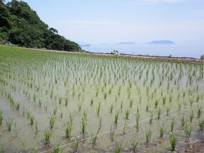f:id:utonoume:20150525121353j:image:w270 f:id:utonoume:20150525121353j:image:w270