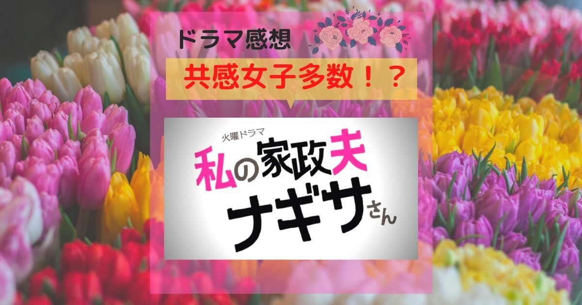 私の家政婦ナギサさん　ブログ　感想　