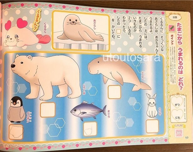 プリキュアドリルに夢中 2歳から自宅でおけいこ ぬりえも楽しい うとうとさらの テンパり育児