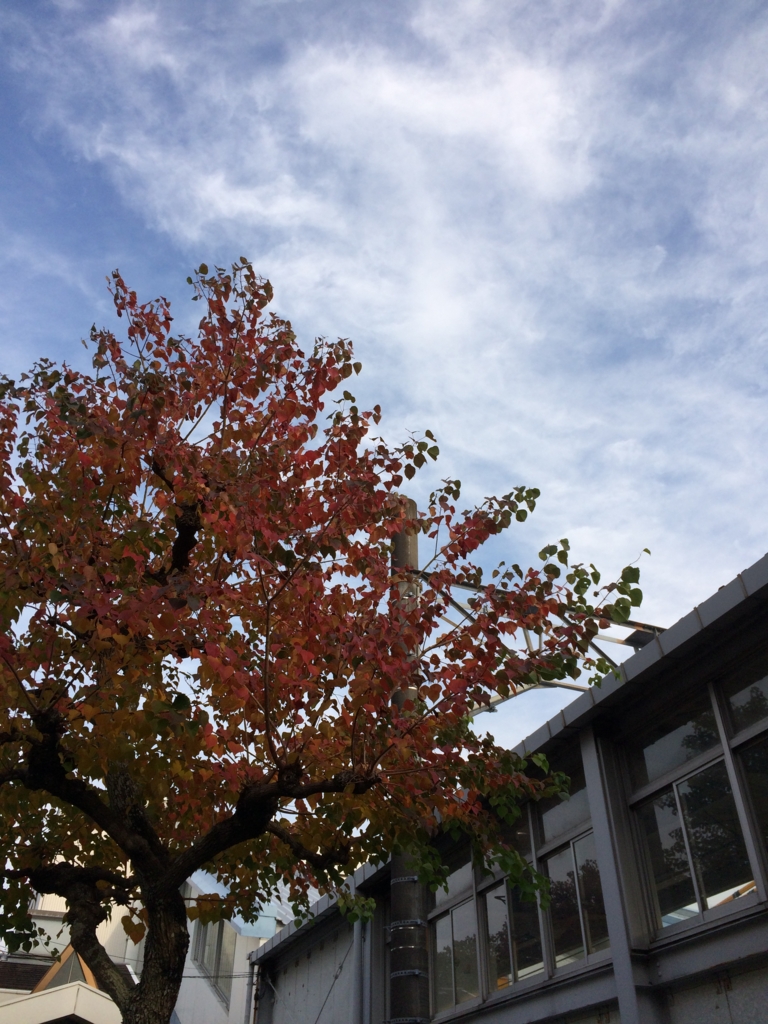f:id:utsu201005:20161117221756j:plain f:id:utsu201005:20161117221756j:plain