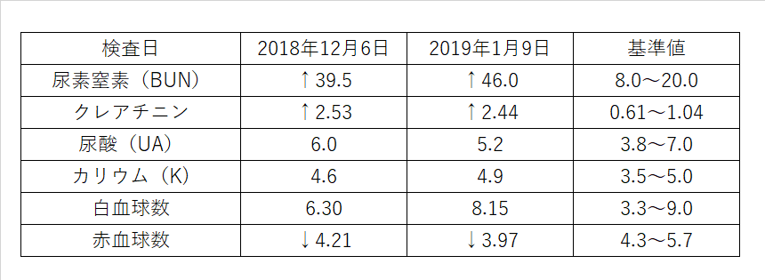 f:id:utsubokun:20190131174254p:plain f:id:utsubokun:20190131174254p:plain
