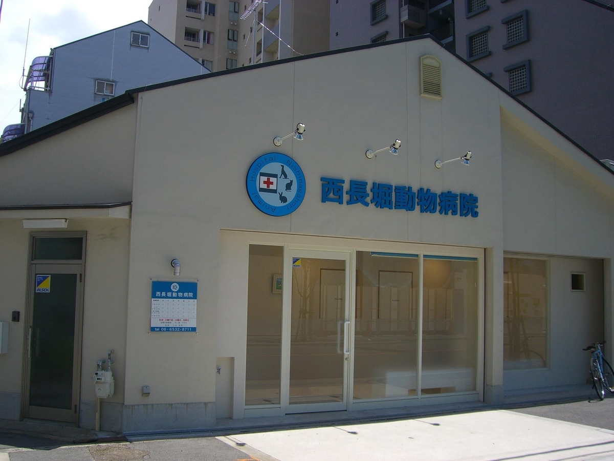 チワワ まる を狂犬病予防接種に連れていく 慢性腎不全 Ckd だけどアウトドアを楽しむ人のブログ