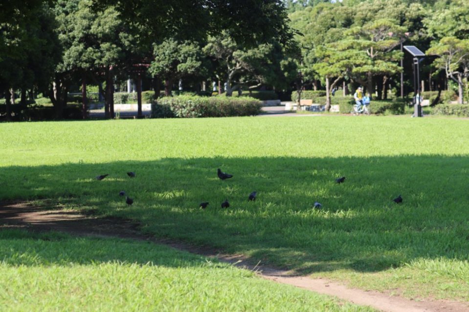 f:id:utsugi-bridge:20210719002929j:plain